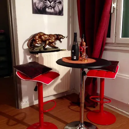 Appartement Bel Centre Montparnasse